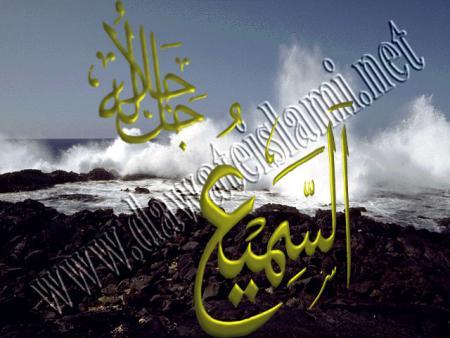 assami3o